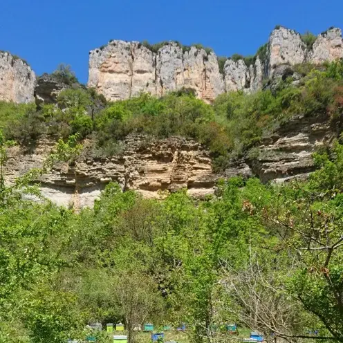 Le rucher de Massebiau 2