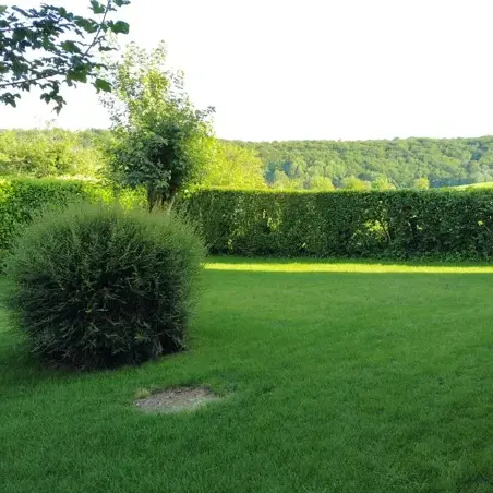 Domaine de Majorac - Le 1741