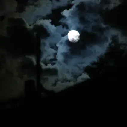 A l'Ecoute de la vie nocturne avec le CPIE