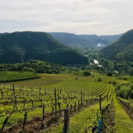 Vino Rando - Maison des Accompagnateurs