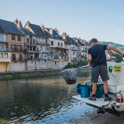 Lâchers de truites