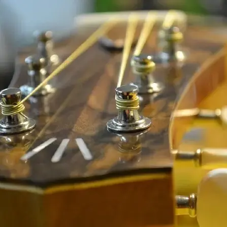 Michel CASSAN - Luthier