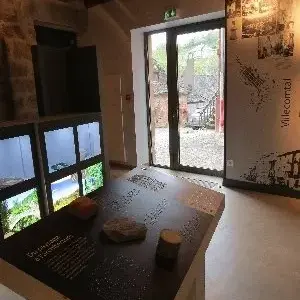 Espace des Enfarinés - Collection de minéraux et de fossiles