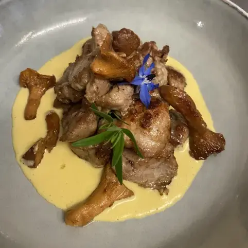 Ris d'Agneau français, Girolles