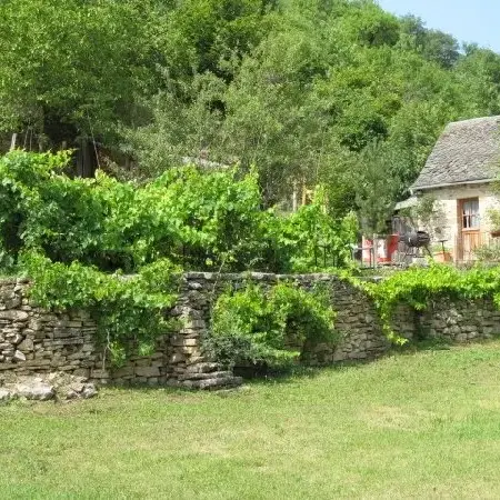 Gîte des Apis