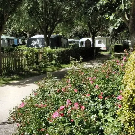 CAMPING LES ERABLES