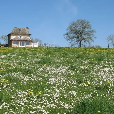 La Maison de Vigneron - H12G005411