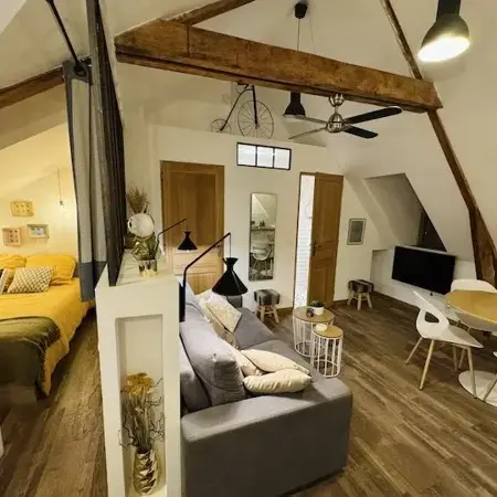Le 17, appartement cosy dans le centre historique
