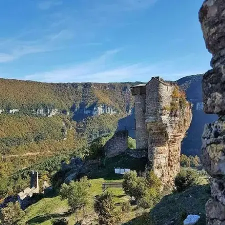 Château de Peyrelade