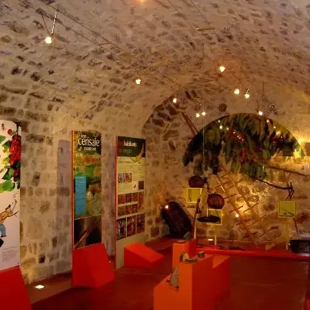 Musée de la Cerise - Vallée du Tarn