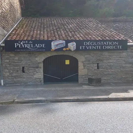 Bleu des Causses AOP (Caves de Peyrelade)