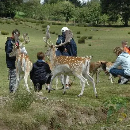 La Vallée des Daims