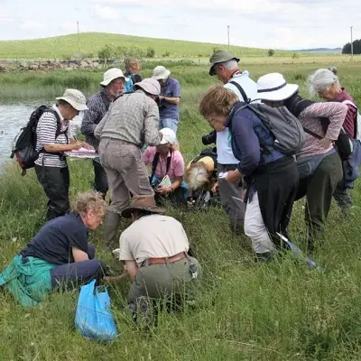 Sortie avec une association de botanistes au lac des Salhiens