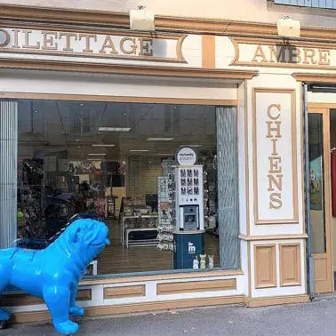 Ambre et Cie