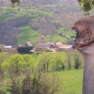 EARL Ferme de Montégut