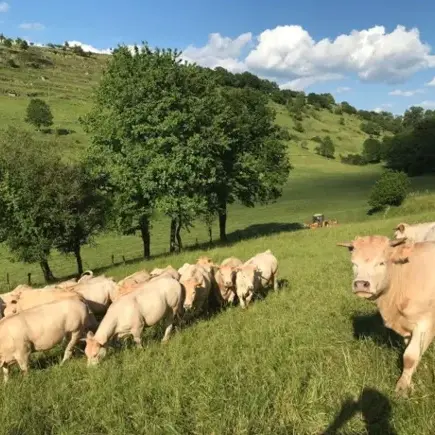 Ferme de Gandalou
