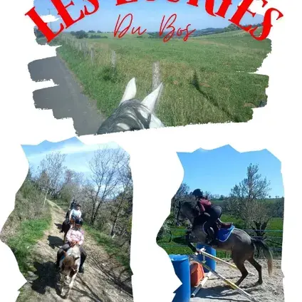 Les écuries du Bos