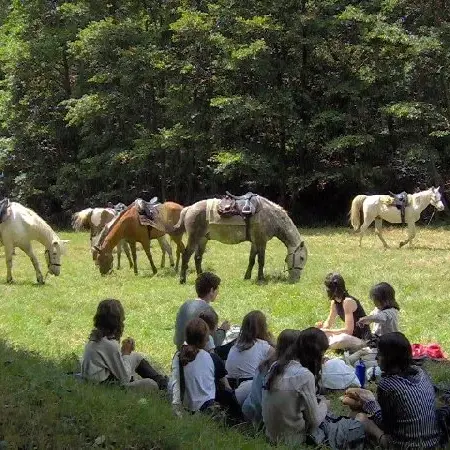 Ferme Equestre du Badour - Equi'adult