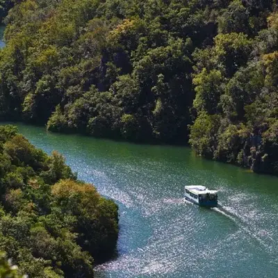 Le Héron des Raspes - croisière découverte sur le Tarn