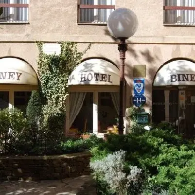HOTEL BINEY