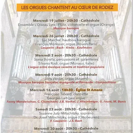 Les orgues chantent au coeur de Rodez
