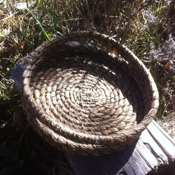 plateau, vannerie spiralée, paille (molinie) et ronce