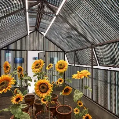 La Cabane du Bonheur