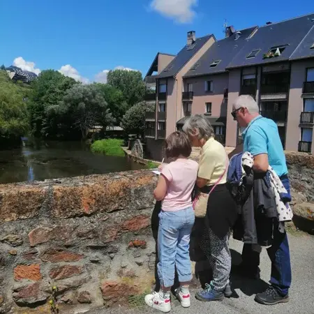 observation plantes en ville