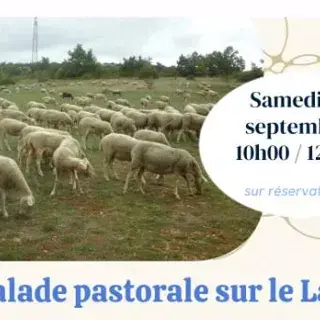 Balade pastorale 12 septembre 2026