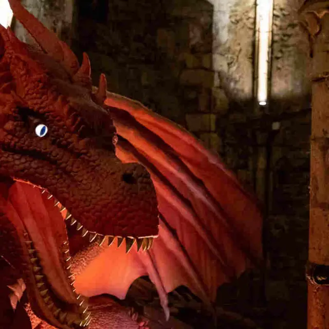 dragon_2-1.jpg