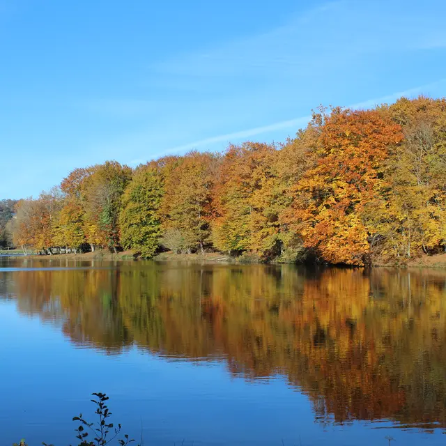 Lac du Tolerme®Mouret.jpg