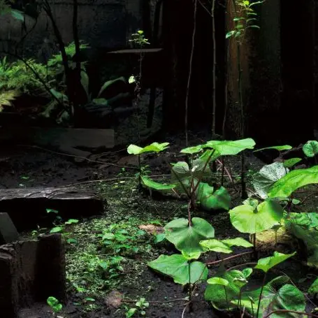 Atelier Tiers Paysage.JPG