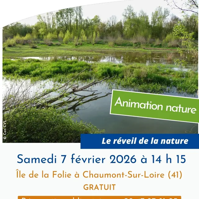 Affiche_IleDeLaFolie_07022026.jpg