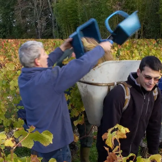 Vignoble de Cahors--Lot Tourisme - Y. Conforti.jpg