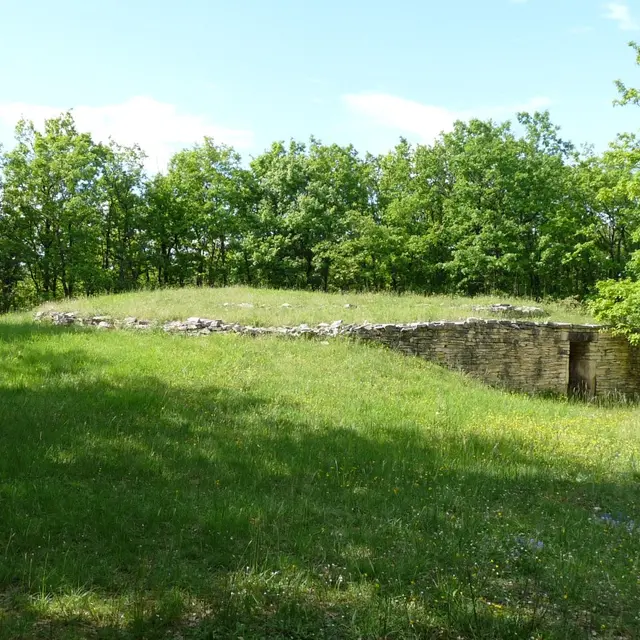 POI 7 - image 2 tumulus B de la Boixe.jpg