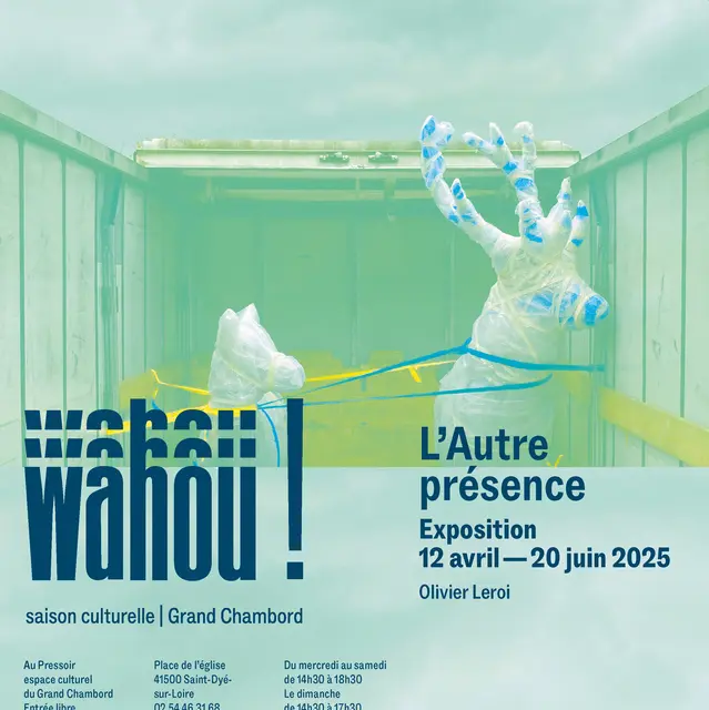 wahou__olivier_leroi.jpg