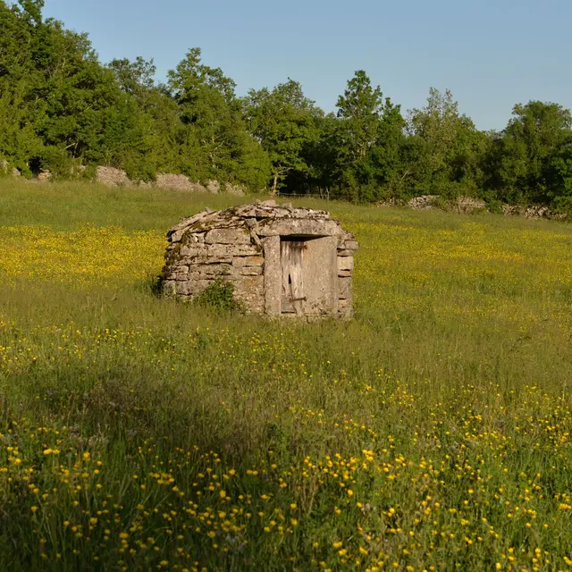 Le puits couvert du Joncas (2)_1.jpg