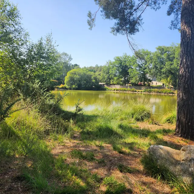 Etang©Mairie-de-Molac.jpg