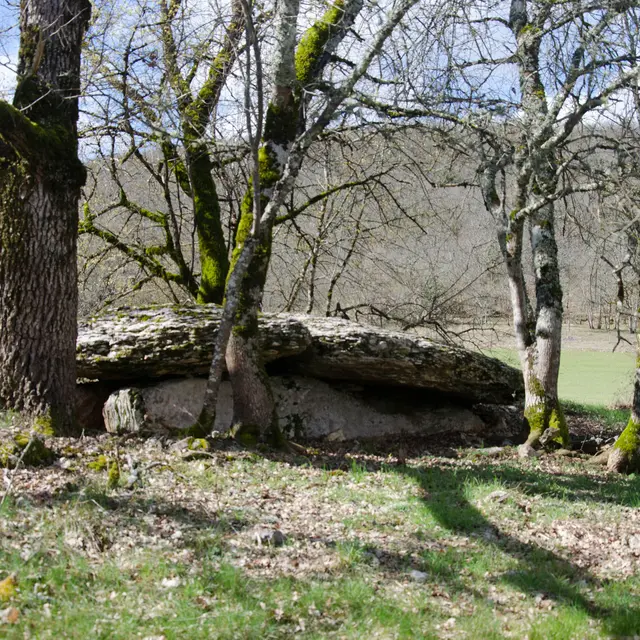 POI 7 - photo principale dolmen de  la combe de Saule 2.jpg