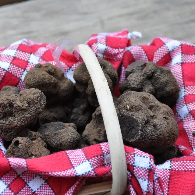 Panier de truffes Lot Tourisme-Christiane Roques 120221-145827.jpg