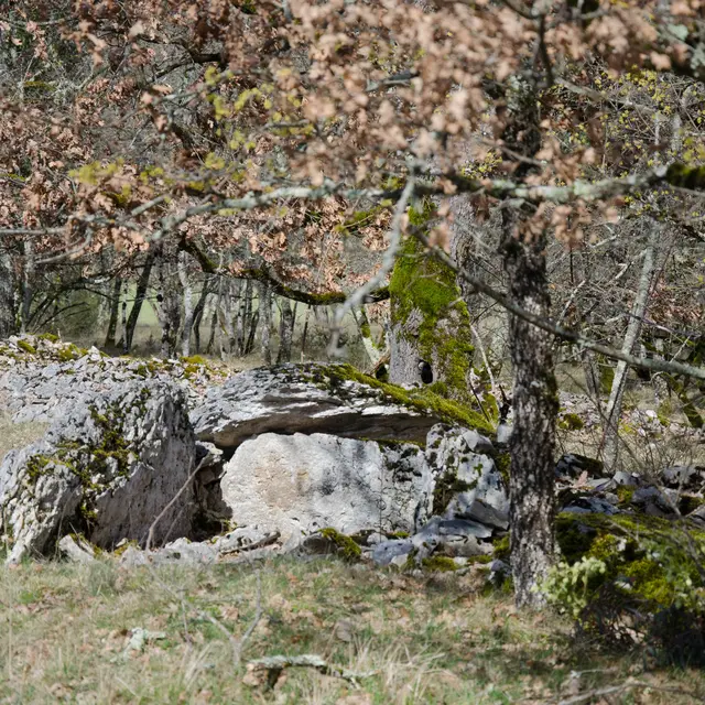 POI 7 - Dolmen de  la combe de Saule 3.jpg