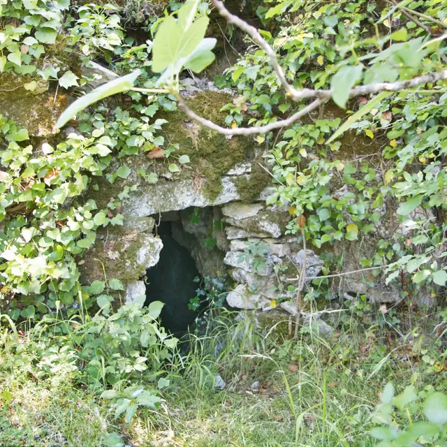 2c - La Grotte de la Viste_1.jpg