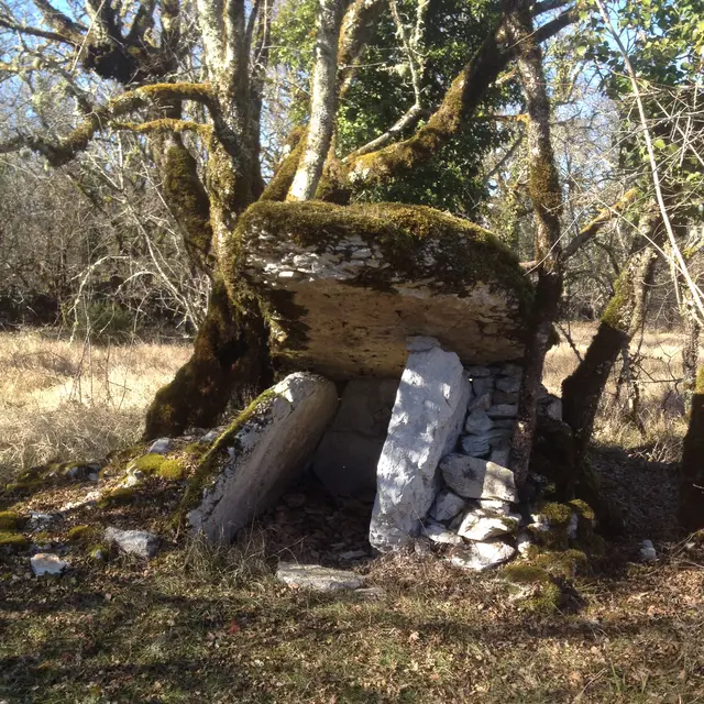 POI 5 - photo princiaple Dolmen des Agars.JPG