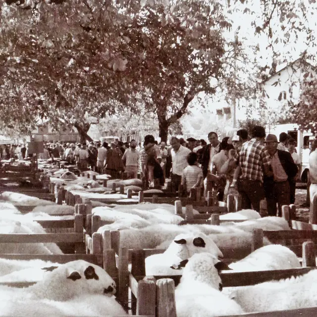 1 - Foire  Espédaillac en 1968 © PNRCQ.jpg