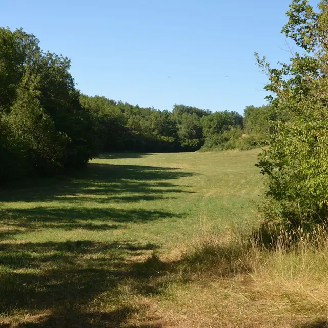 Vallée sèche.jpg