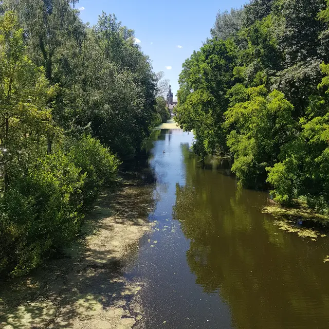 3477921_20180622_144747jpg.jpg