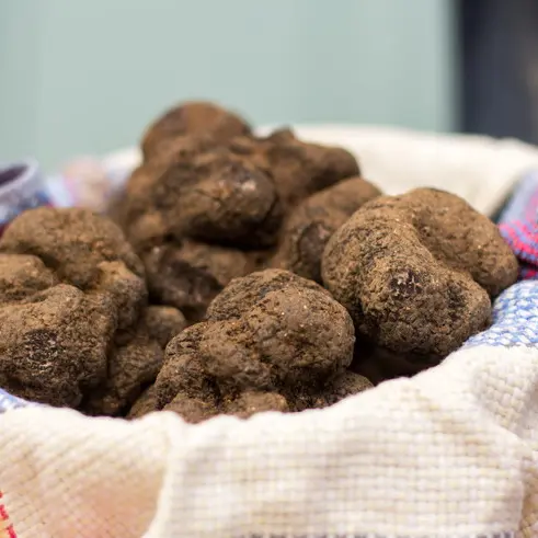 Au Marché aux truffes à Lalbenque Lot Tourisme - C. Novello 160126-161050_800x491.jpg