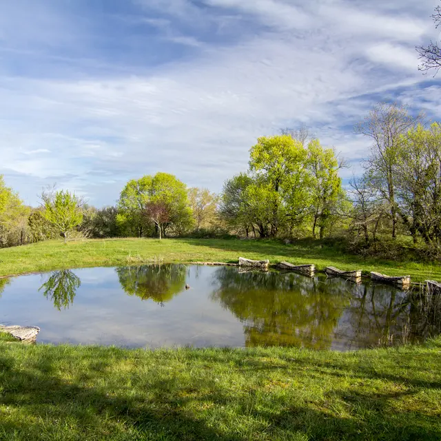 Lac et lavoirs de l'Escalier © Lot Tourisme C. Novello-7.jpg
