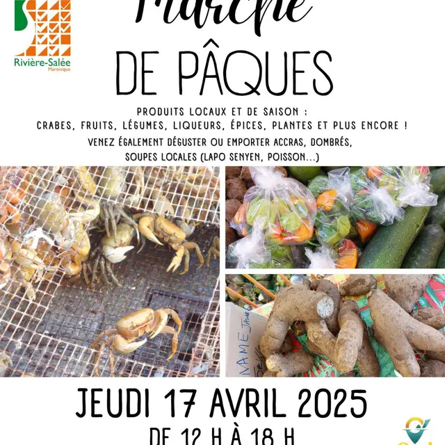 486171073_1290322493097079_134941223638950927_n (1).jpg