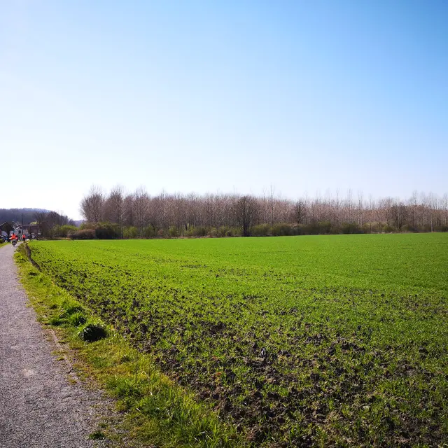 Chemin du Belvédère - Douaisis (c)DOUAISIS AGGLO.jpg